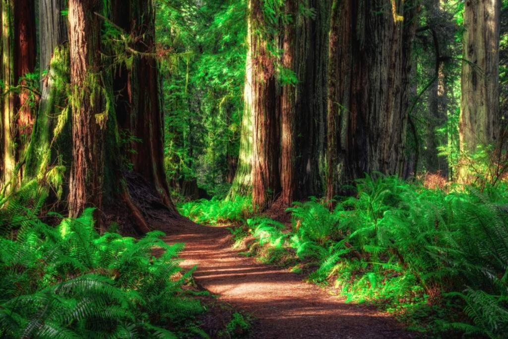 Bear Mountain - Suite 5 Grants Pass Buitenkant foto
